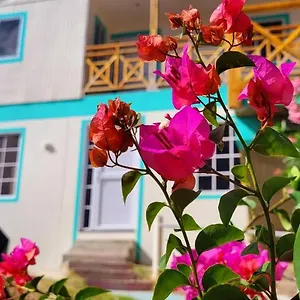 Colorful Garden House Bed and breakfast